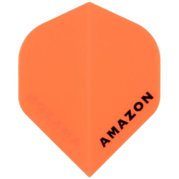 Amazon flight 1887